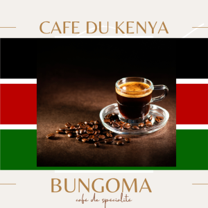 Café de spécialité Kenya Bungoma